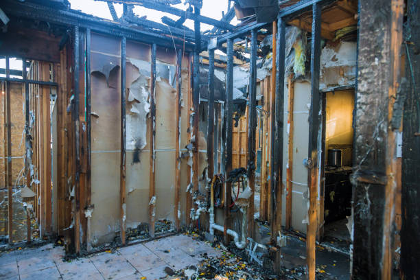 Professional Fire Damage Assessment technician working in Rice, MN